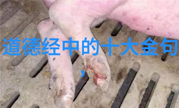 陈撄宁的仙学思想 尹志华