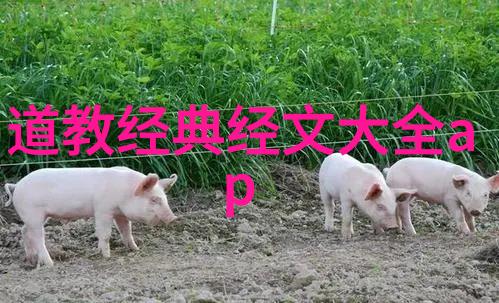 电影中的宗教 别样的雕刻