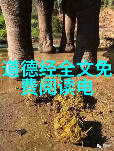 神仙学说 - 神仙的等级
