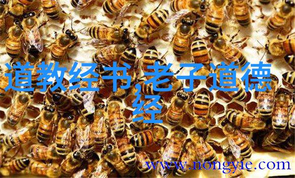 阳宅风水源流考略